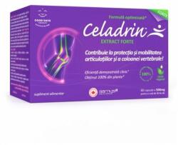 Good Days Therapy Celadrin Extract Forte, 500 mg, 60 capsule, Good Days Therapy