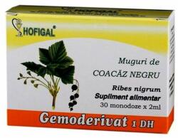 Hofigal Gemoderivat Muguri de coacaz negru, 30 monodoze