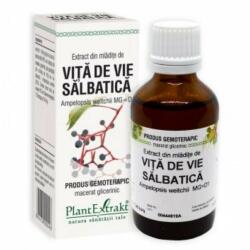 PlantExtrakt Extract din mladite de VITA DE VIE SALBATICA, 50 ml