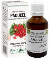 PlantExtrakt Extract din mladite de PADUCEL, 50 ml