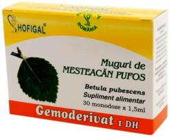 Hofigal Gemoderivat Muguri de mesteacan pufos, 30 monodoze