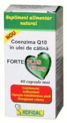 Hofigal Coenzima Q10 in ulei de catina Forte Plus, 40 capsule moi