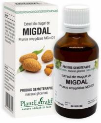 PlantExtrakt Extract din muguri de MIGDAL, 50 ml
