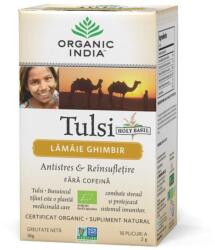 Organic India Ceai Tulsi (Busuioc Sfant) cu Lamaie si Ghimbir | Antistres Natural & Reinsufletire