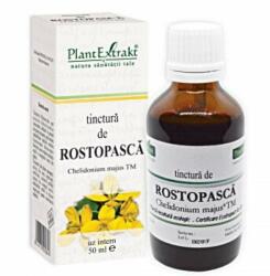 PlantExtrakt PLE Tinctura de Rostopasca, digestie usoara, 50 ml