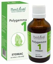 PlantExtrakt POLYGEMMA nr. 1 Stomac, 50 ml