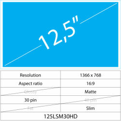 Notebook LCD 12.5 LCD Slim Mat 30 pin HD, Matte