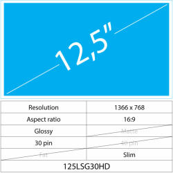 Notebook LCD 15.6 LCD Slim Matte 30 pini Full HD Fără mânere, Glossy