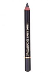 Gabrini Creion de buze sau ochi Gabrini express pencil nuanta 105, 4g