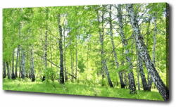  Wallmuralia. hu Egyedi vászonkép Nyírfa erdő 120x60 cm