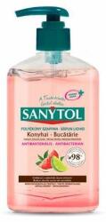 Sanytol Săpun lichid antibacterian, 250 ml, SANYTOL Bucătărie (36650131)