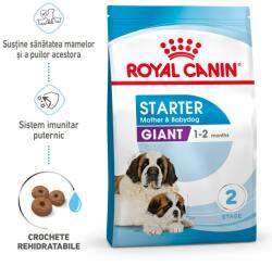 Royal Canin 3.5kg Royal Canin Giant Starter Mother & Babydog gestatie/ lactatie pui hrana uscata