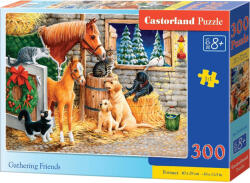 Castorland Puzzle Castorland din 300 de piese - Adunarea prietenilor (B-030255)