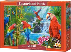 Castorland Puzzle Castorland din 2000 de piese - Întâlnire papagală (C-200870-2) Puzzle