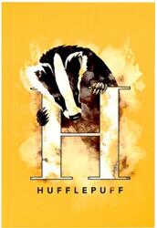 Cine Replicas Carnețel Cinereplicas Movies: Harry Potter - Hufflepuff (Badger) (DO5154)