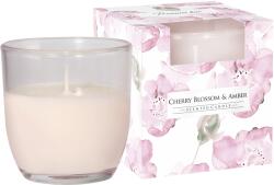 BISPOL Lumânare parfumată Bispol Aura - Cherry Blossom & Amber, 100 g (sn75b-323)