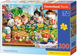 Castorland Puzzle Castorland din 200 de piese - Pisicuțe adormite (B-222278)