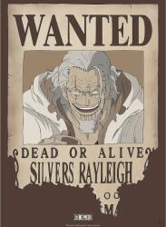 GB eye Animation Mini Poster: One Piece - Rayleigh Wanted Poster (GBYDCO268)