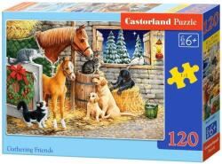 Castorland Puzzle Castorland din 120 de piese - Prieteni din ferma (B-13340-1)