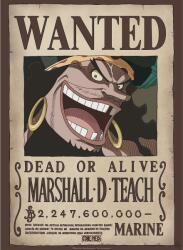 GB eye Mini poster GB eye Animation: One Piece - Blackbeard Wanted Poster (GBYDCO267)
