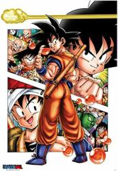 GB eye Animation: Dragon Ball - Goku (ABYDCO188)