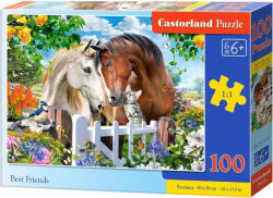Castorland Puzzle Castorland din 100 de piese - Cei mai buni prieteni (B-111121)