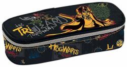 Graffiti Penar pătrat pentru școală Graffiti Harry Potter - The Wizard (234341) Penar