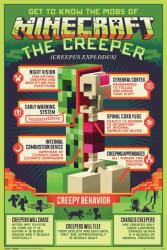GB eye Poster maxi GB Eye Minecraft - Creepy Behaviour (FP4734)