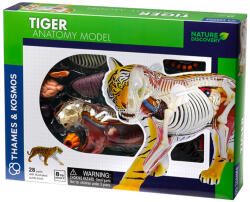 Thames & Kosmos Set pentru copii Kosmos - Anatomia tigrului (261050)
