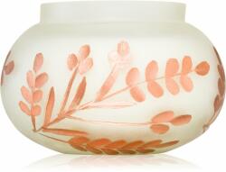 Paddywax Cypress & Fir Frosted White Glass with Copper Metallic Branch Etching illatgyertya 255 g