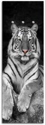 Gario Fali fogas Tigris Méret: 25 x 70 cm