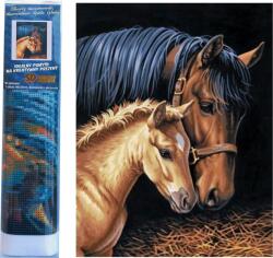 NORIMPEX - Puzzle Pictura cu diamant: Iapa cu manz 30x40cm - 1 - 39 piese