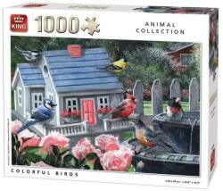 King Puzzle 1000 piese, Colorful Birds