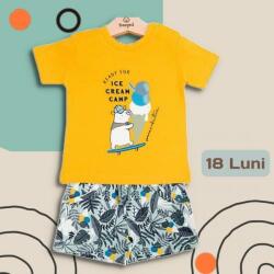 BabyBol Compleu baieti Ice Cream Camp, tricou si pantaloni scurti, 18 luni