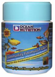 OCEAN NUTRITION Ocean Nutrition Community Formula Flake 71g