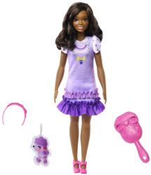 Mattel Barbie HLL18 Prima mea păpușă Barbie - Fată cu părul negru cu un pudel (25HLL20)