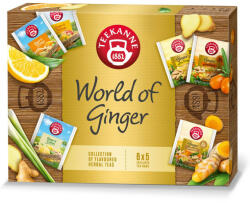 TEEKANNE teaválogatás World Of Ginger - 55g