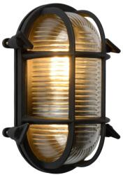 Lucide Dudley fekete-átlátszó kültéri fali lámpa (LUC-11891/20/30) E27 1 izzós IP65 (11891/20/30)
