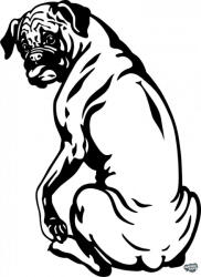 matrica. shop Boxer matrica 13
