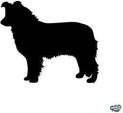 matrica. shop Border collie matrica 5