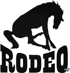 matrica. shop RODEO matrica