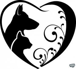 matrica. shop Dobermann matrica 16