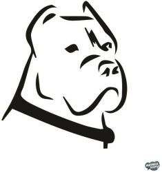 matrica. shop Cane corso matrica 1
