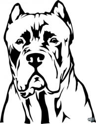 matrica. shop Cane corso matrica 7