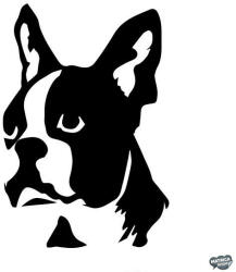 matrica. shop Boston terrier matrica 7