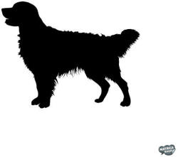 matrica. shop Golden retriever matrica 0