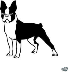 matrica. shop Boston terrier matrica 6