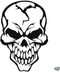 matrica. shop Betört koponya Autómatrica