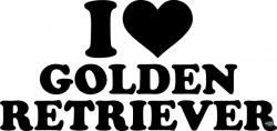 matrica. shop Golden retriever matrica 8