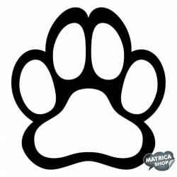 matrica. shop Border collie matrica 4